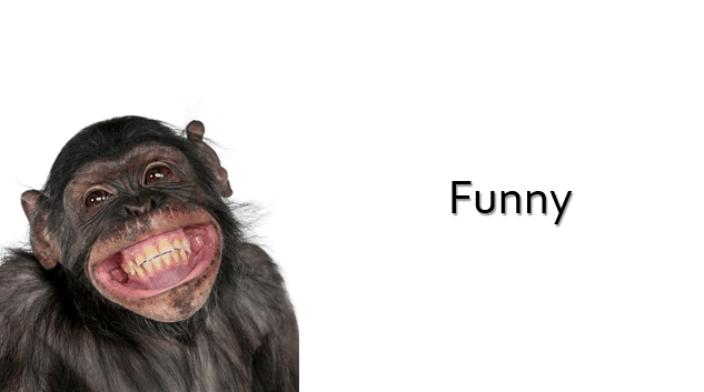 PP 09 17 funny Tip #10: cute, funny or geeky