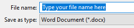 Type a file name for your Word document Type a file name for your Word document