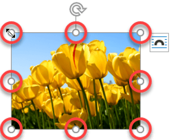 Resizing an image Resizing an image