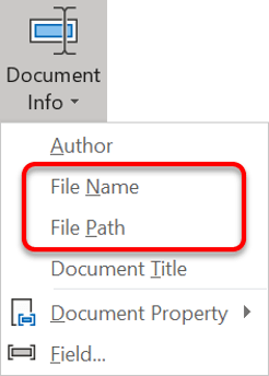 Insert the file name and path into the header and/or footer via the Document Info button, an integral part of the Word page settings